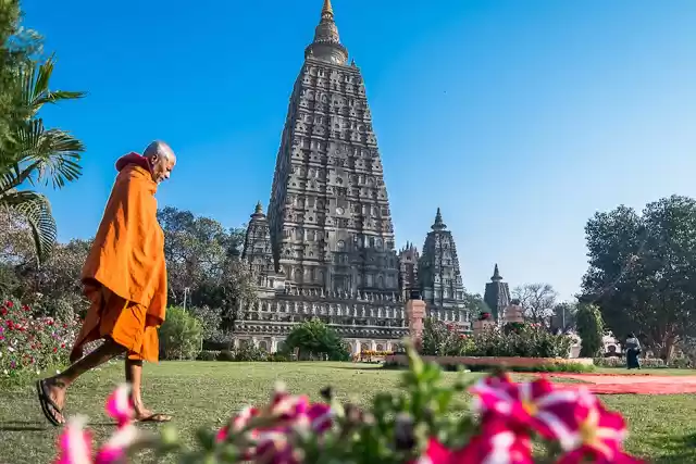 Path of the Buddha
