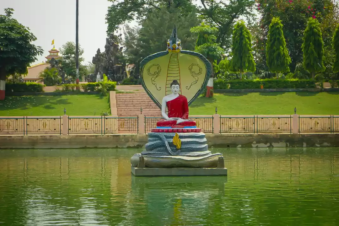 Gaya